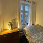 Cozy Center Chambers With Kitchen And Garden Privat bolig
