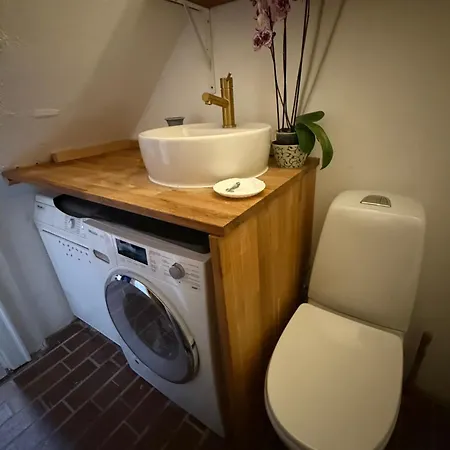 Cozy Center Chambers With Kitchen And Garden Homestay *