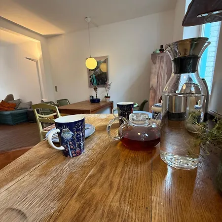 Cozy Center Chambers With Kitchen And Garden Homestay Copenhagen