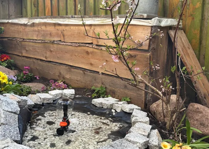 Cozy Center Chambers With Kitchen And Garden